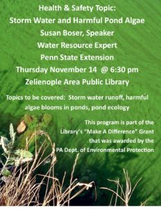 STORM WATER & HARMFUL POND ALGAE